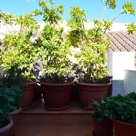 San Pablo Apartamento *
